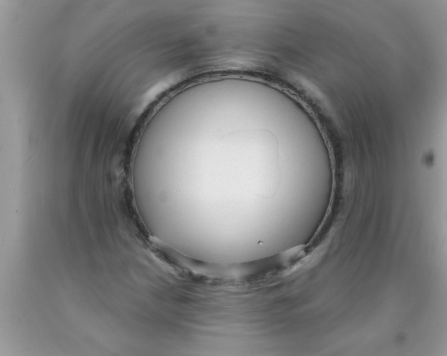 X0000089861210200707262121