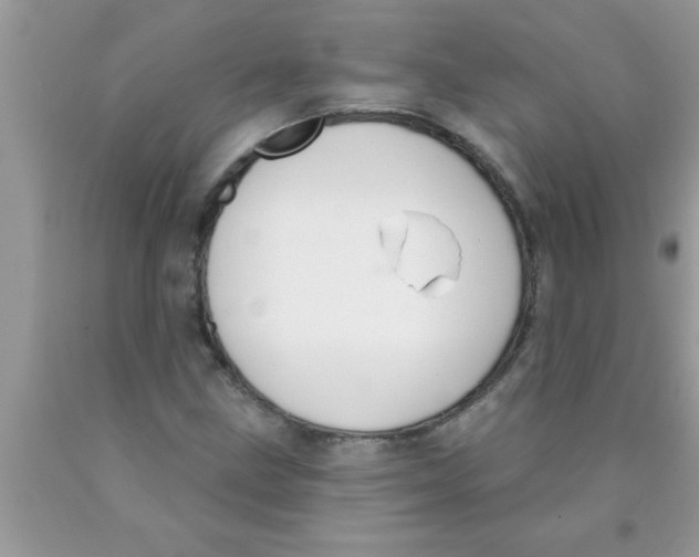 X0000089861211200707262121