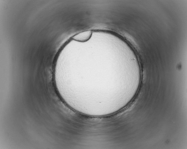 X0000089861212200707262121