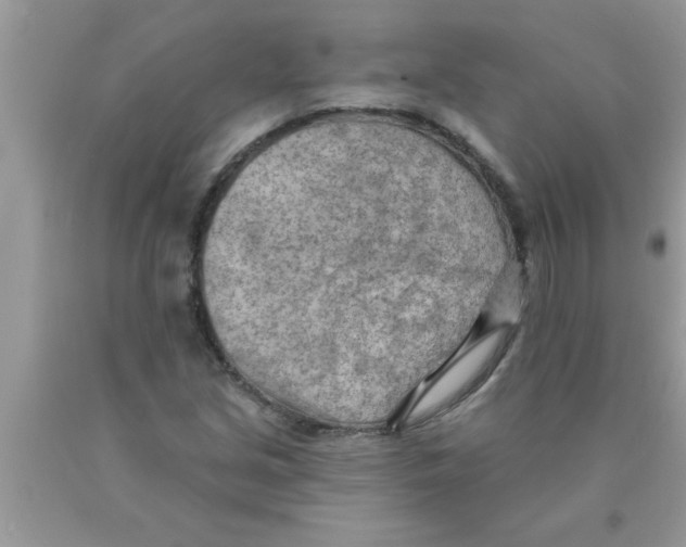 X0000089861213200707262121