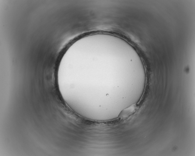 X0000089861214200707262121