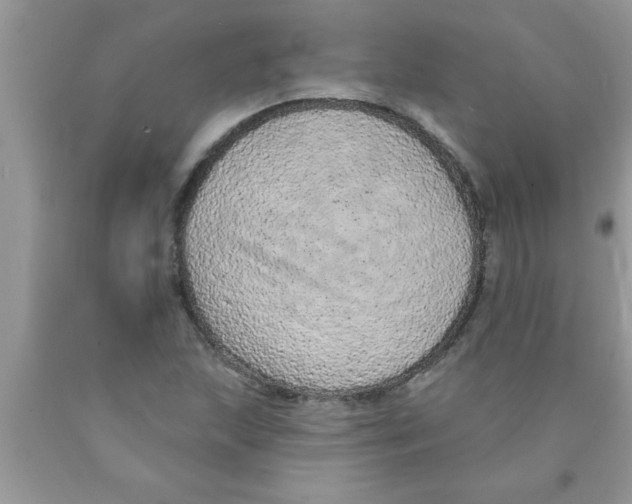 X0000089861215200707262121