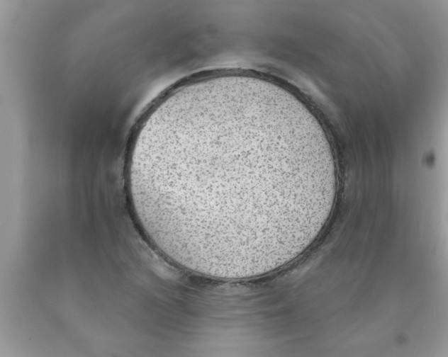 X0000089861216200707262121