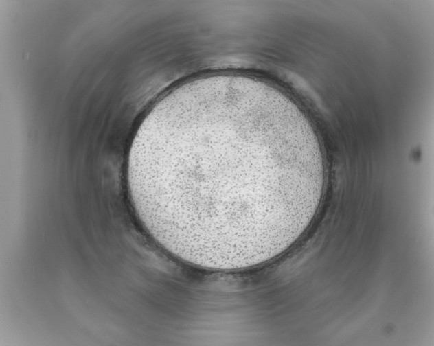 X0000089861217200707262121