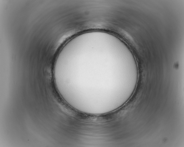 X0000089861218200707262121