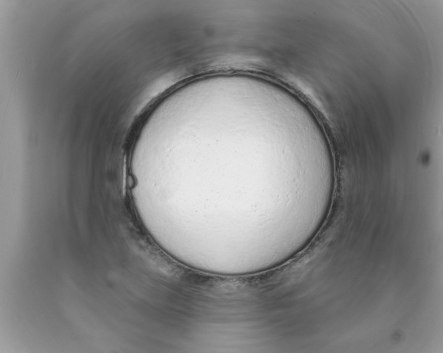 X0000089861219200707262121