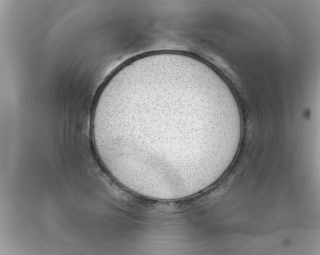 X0000089861220200707262121