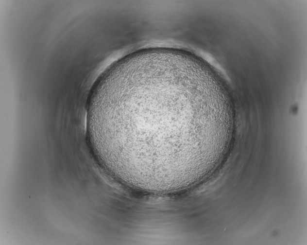 X0000089861221200707262121