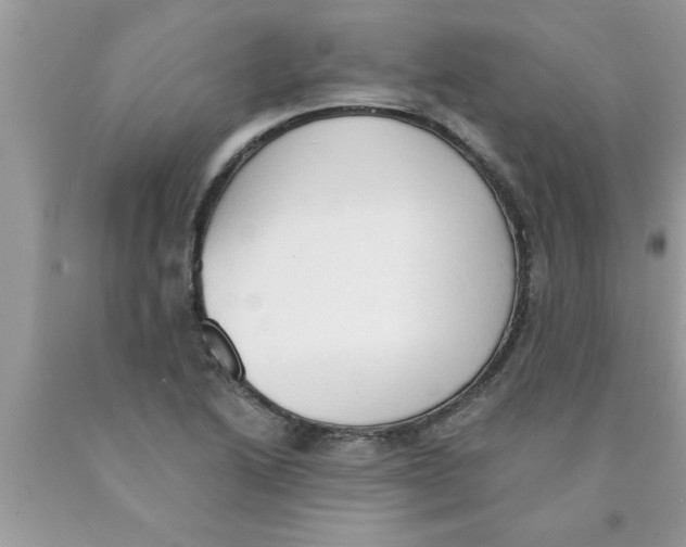 X0000089861222200707262121