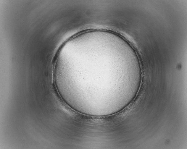X0000089861223200707262121