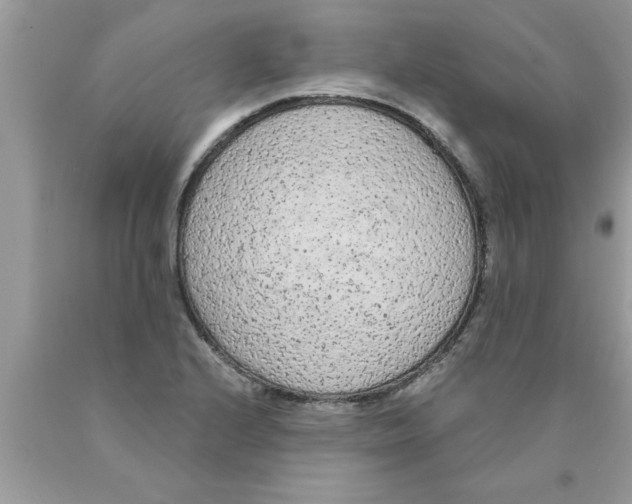 X0000089861224200707262121