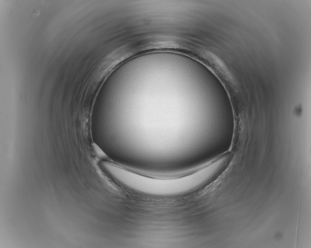 X0000089861225200707262121