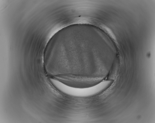 X0000089861226200707262121
