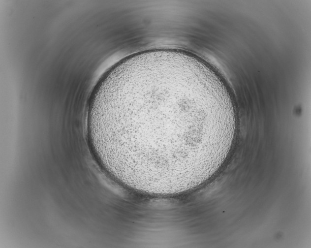 X0000089861227200707262121