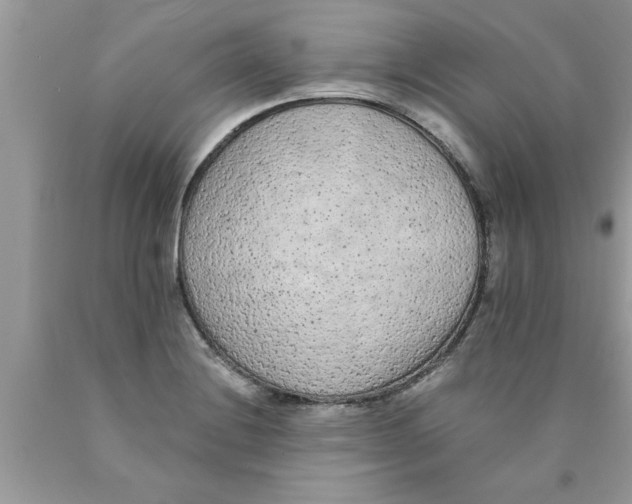 X0000089861228200707262121