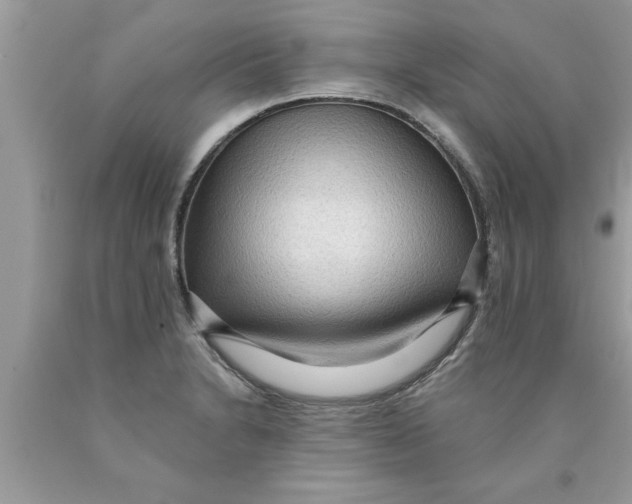 X0000089861230200707262121