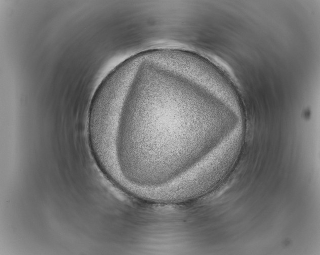 X0000089861231200707262121