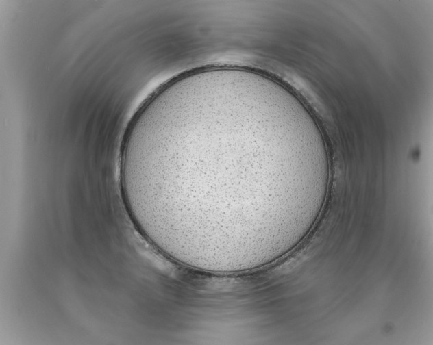 X0000089861232200707262121