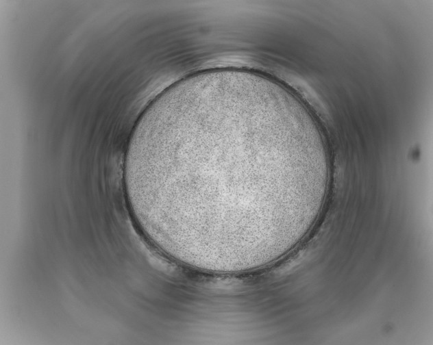 X0000089861233200707262121