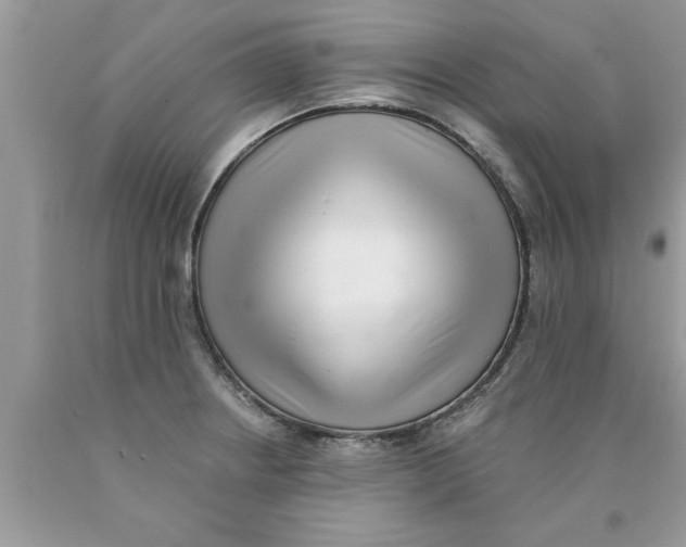 X0000089861234200707262121