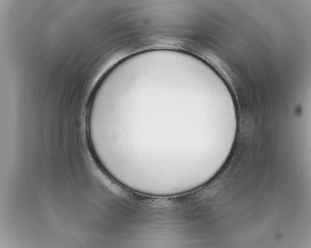 X0000089861235200707262121
