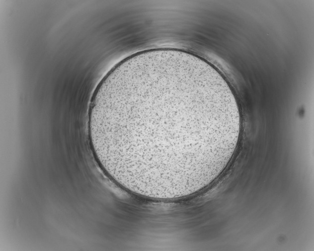 X0000089861236200707262121