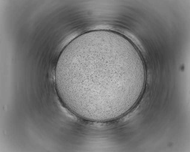 X0000089861241200707262121