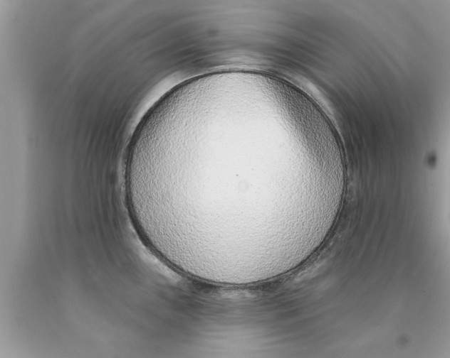 X0000089861243200707262121
