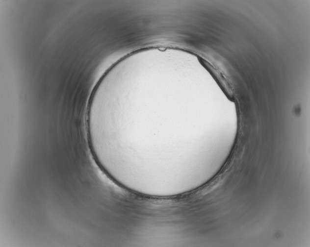 X0000089861247200707262121