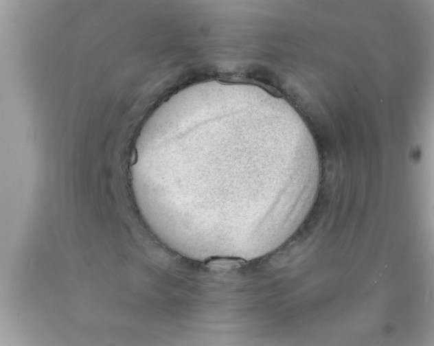 X0000089861249200707262121