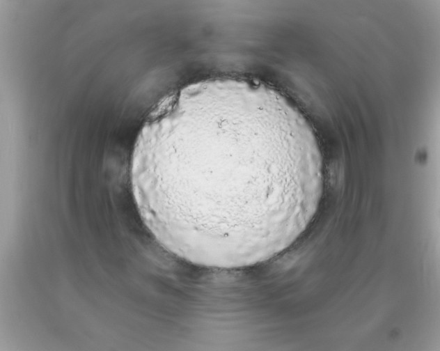 X0000089861251200707262121