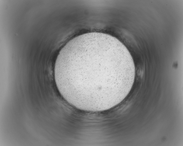 X0000089861252200707262121