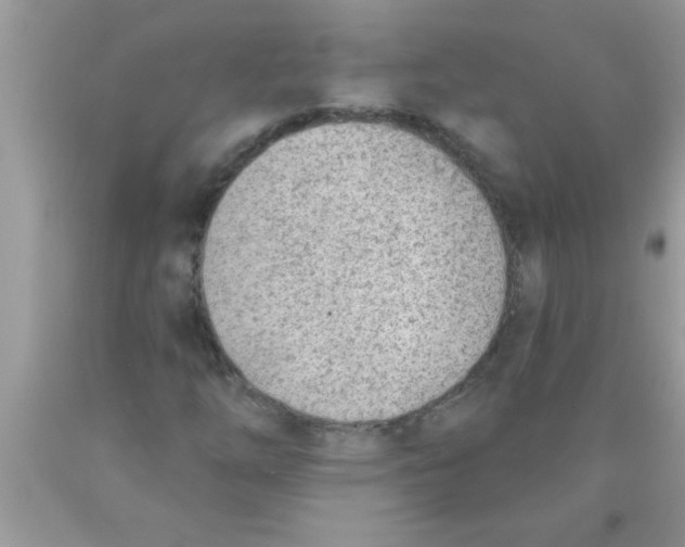 X0000089861254200707262121