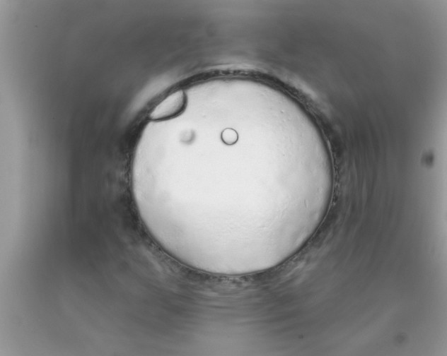 X0000089861255200707262121