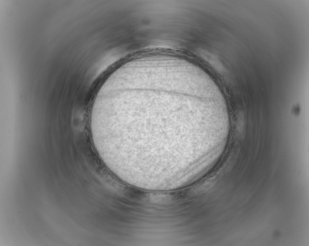 X0000089861258200707262120