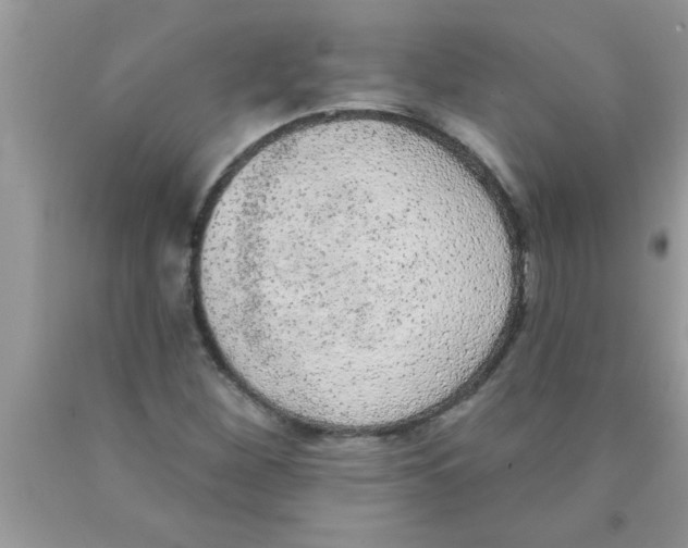 X0000089861260200707262120