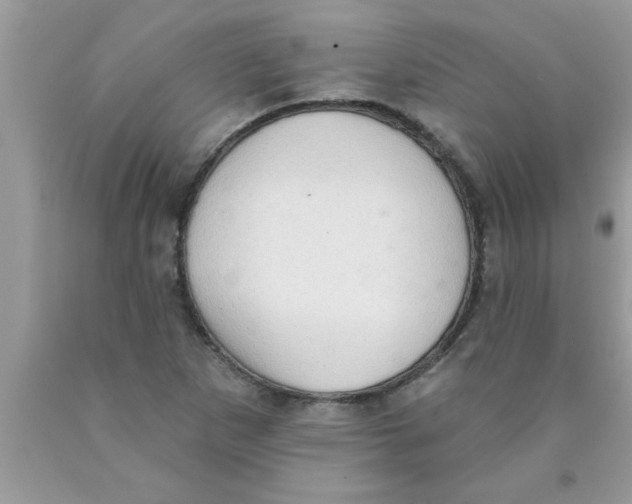 X0000089861265200707262120
