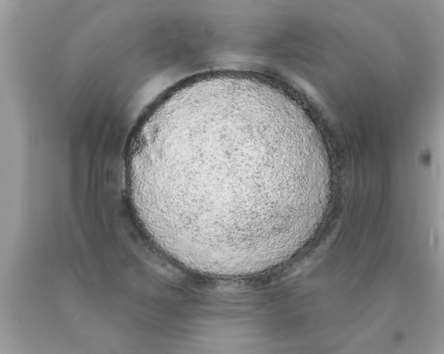 X0000089861267200707262120