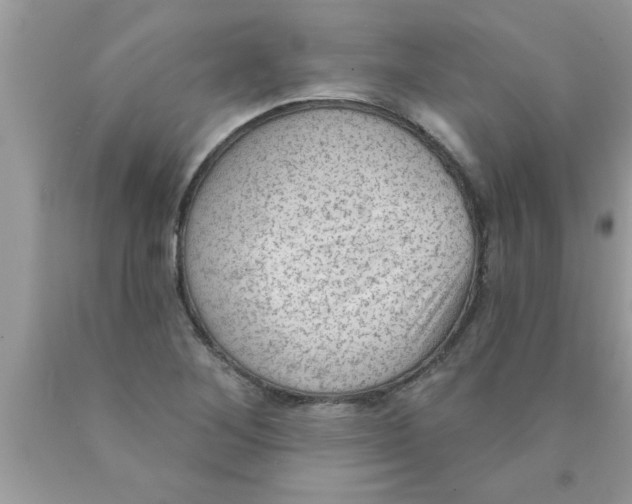 X0000089861268200707262120