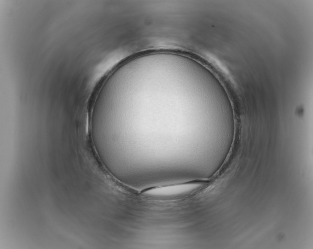 X0000089861269200707262120