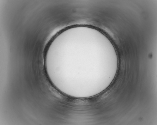 X0000089861270200707262120