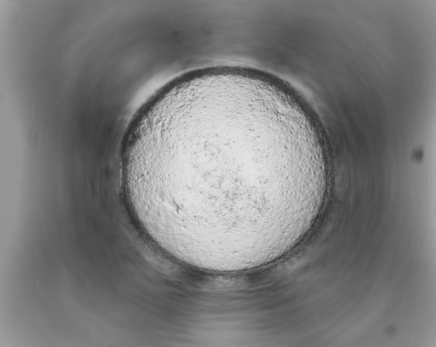 X0000089861271200707262120