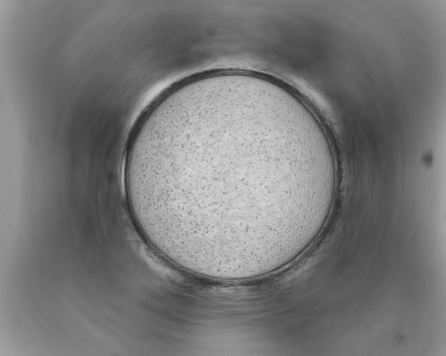 X0000089861272200707262120