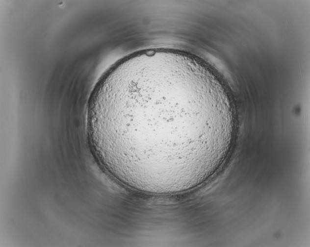 X0000089861275200707262120