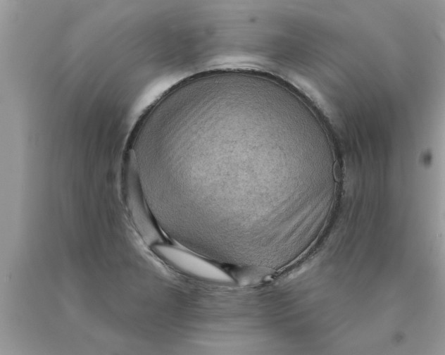 X0000089861277200707262120