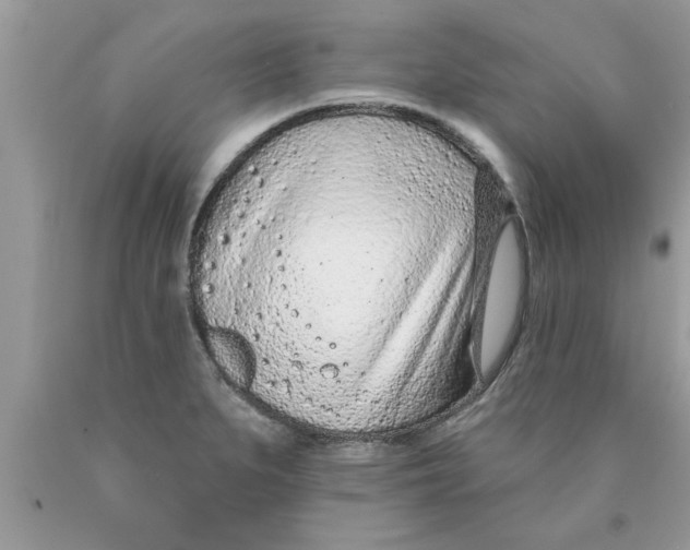 X0000089861279200707262120