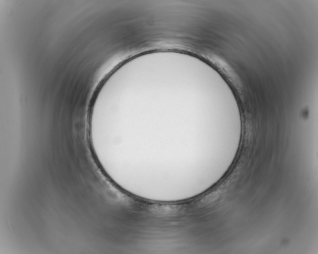 X0000089861286200707262120