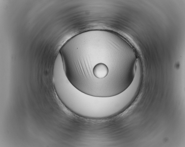 X0000089861289200707262120