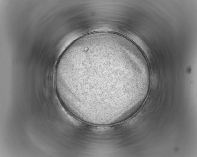 X0000089861290200707262120