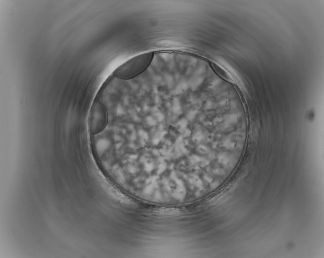 X0000089861291200707262120